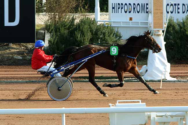 Arrivée quinté pmu PRIX DE BEDARIEUX à CAGNES-SUR-MER