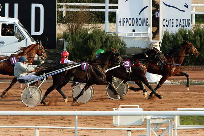 Arrivée quinté pmu PRIX DE MAUREILHAN à CAGNES-SUR-MER
