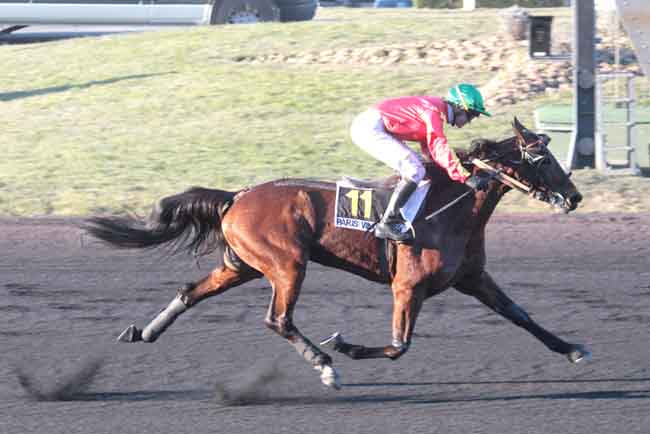 Arrivée quinté pmu PRIX DE LISIEUX à PARIS-VINCENNES