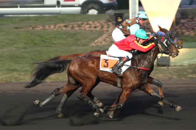 Arrivée quinté pmu PRIX DE DIVONNE à PARIS-VINCENNES