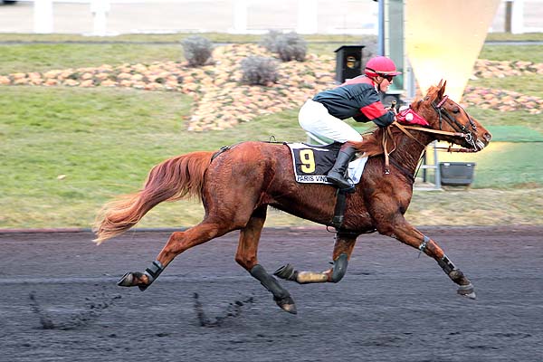 Arrivée quinté pmu PRIX DE BOUGUENAIS à PARIS-VINCENNES