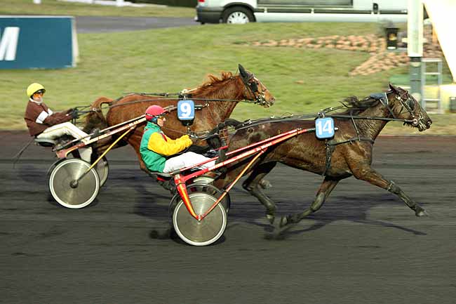 Arrivée quinté pmu PRIX DE FREJUS à PARIS-VINCENNES