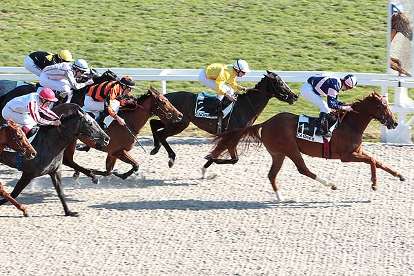 Arrivée quinté pmu PRIX DES GLYCINES à CAGNES-SUR-MER