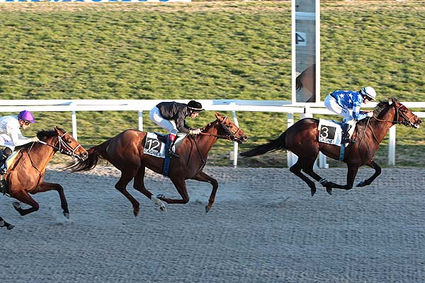 Arrivée quinté pmu PRIX DES BOURRACHES à CAGNES-SUR-MER