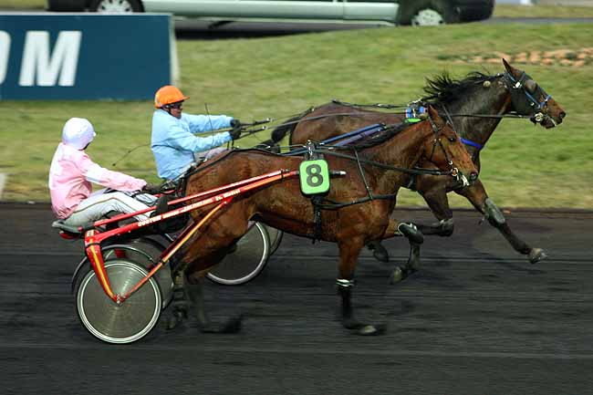Arrivée quinté pmu PRIX DE BOIS-LE-ROI (GROUPE B) à PARIS-VINCENNES
