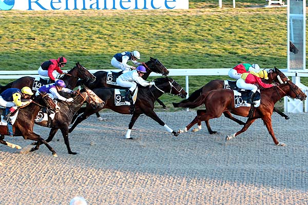 Arrivée quinté pmu PRIX DE LA FONTONNE à CAGNES-SUR-MER
