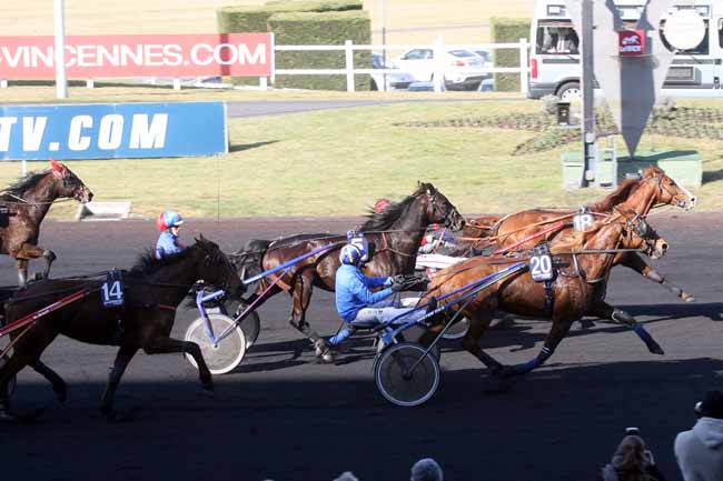 Arrivée quinté pmu PRIX DU CHESNAY à PARIS-VINCENNES
