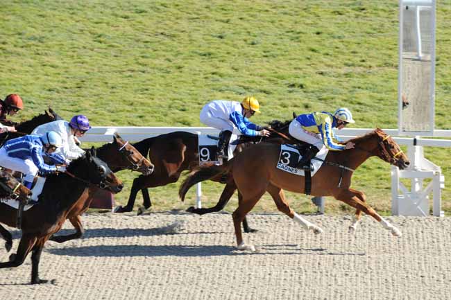 Arrivée quinté pmu PRIX DE CAVAILLON à CAGNES-SUR-MER
