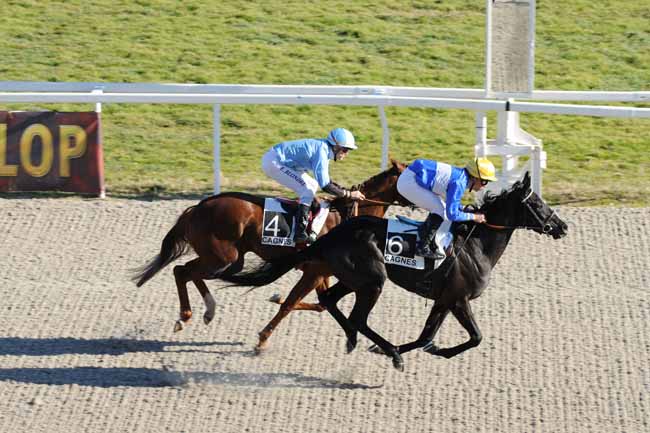 Arrivée quinté pmu PRIX DE CARPENTRAS à CAGNES-SUR-MER