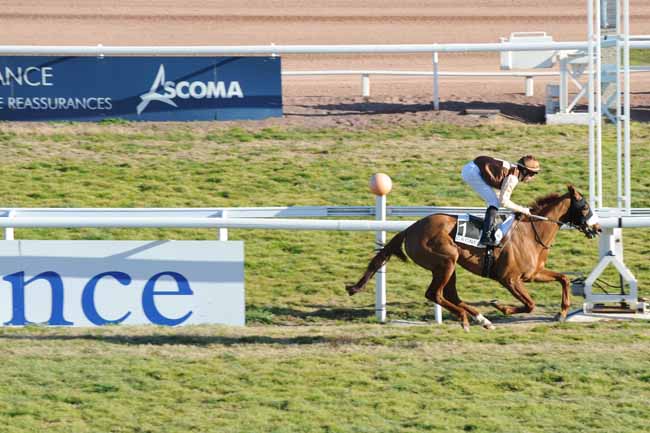 Arrivée quinté pmu PRIX DES ISSAMBRES à CAGNES-SUR-MER