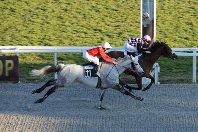 Arrivée quinté pmu PRIX DE SAINT-TROPEZ à CAGNES-SUR-MER