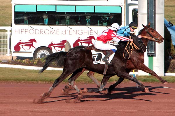Arrivée quinté pmu PRIX DU TARN à ENGHIEN