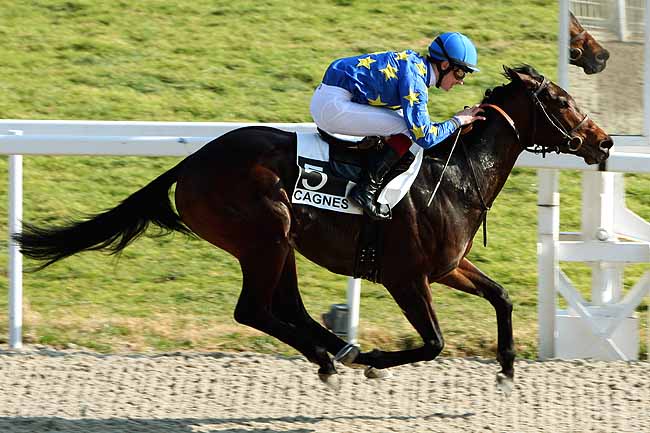 Arrivée quinté pmu PRIX POLICEMAN à CAGNES-SUR-MER