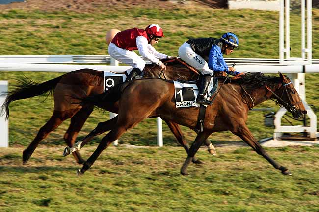 Arrivée quinté pmu PRIX JACQUES GELIOT à CAGNES-SUR-MER