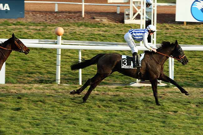 Arrivée quinté pmu PRIX DU LAUTARET à CAGNES-SUR-MER