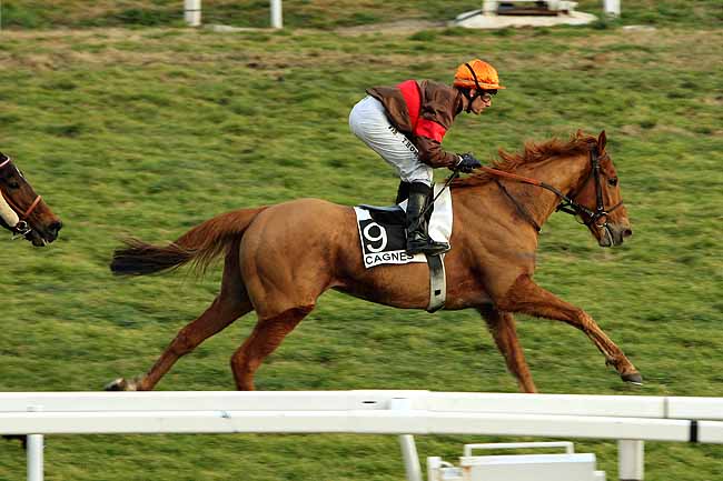 Arrivée quinté pmu PRIX DU GALIBIER à CAGNES-SUR-MER