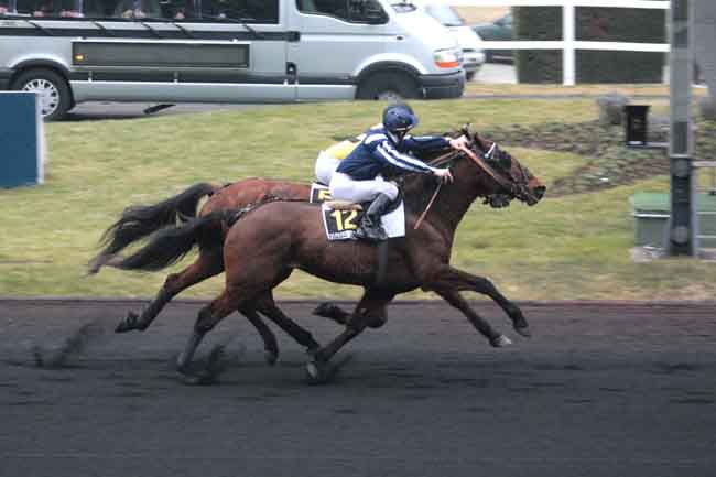 Arrivée quinté pmu PRIX VIVIER DE MONTFORT à PARIS-VINCENNES