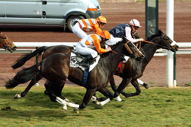 Arrivée quinté pmu PRIX DE CAROMB à MARSEILLE-BORELY