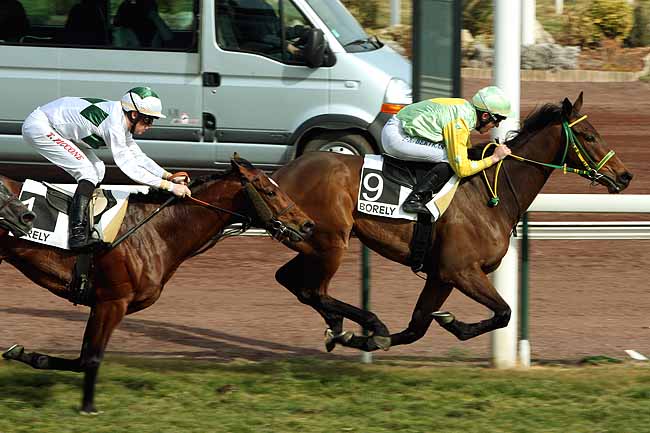 Arrivée quinté pmu PRIX DU CONSEIL GENERAL DES BOUCHES-DU-RHONE à MARSEILLE-BORELY