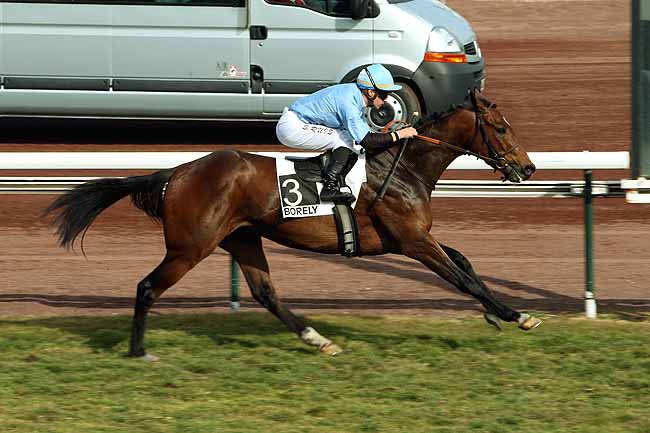 Arrivée quinté pmu PRIX DE CARRO à MARSEILLE-BORELY
