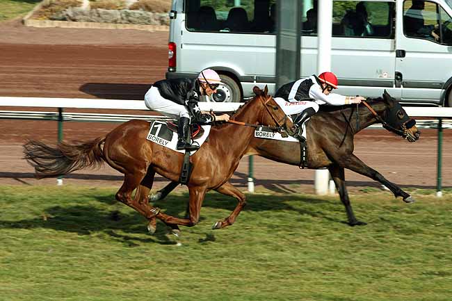 Arrivée quinté pmu PRIX DE CARRY à MARSEILLE-BORELY
