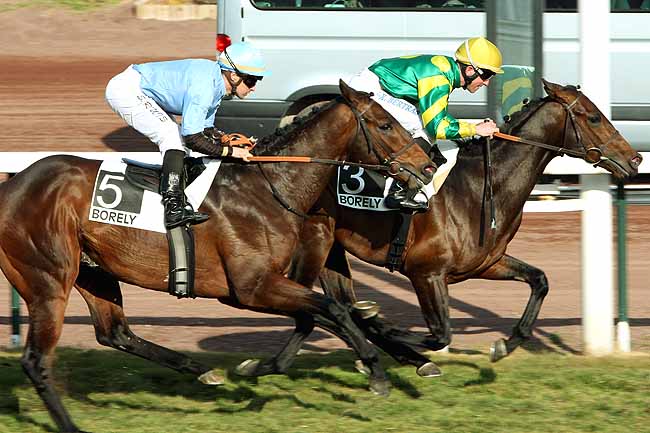 Arrivée quinté pmu PRIX DE VALDONNE à MARSEILLE-BORELY