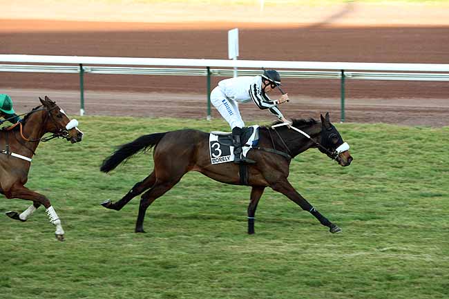 Arrivée quinté pmu PRIX PAUL SAUVAT à MARSEILLE-BORELY
