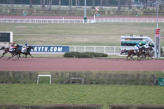 Arrivée quinté pmu PRIX DE FENAIN à ENGHIEN