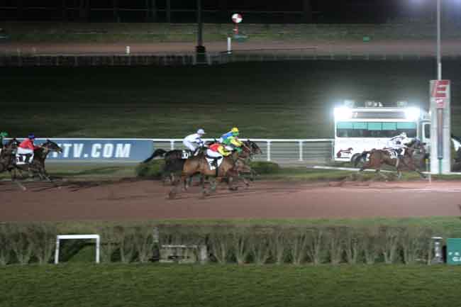 Arrivée quinté pmu PRIX DE CHAVILLE à ENGHIEN