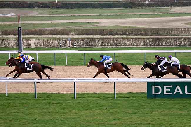 Arrivée quinté pmu PRIX DE BACQUEVILLE à DEAUVILLE