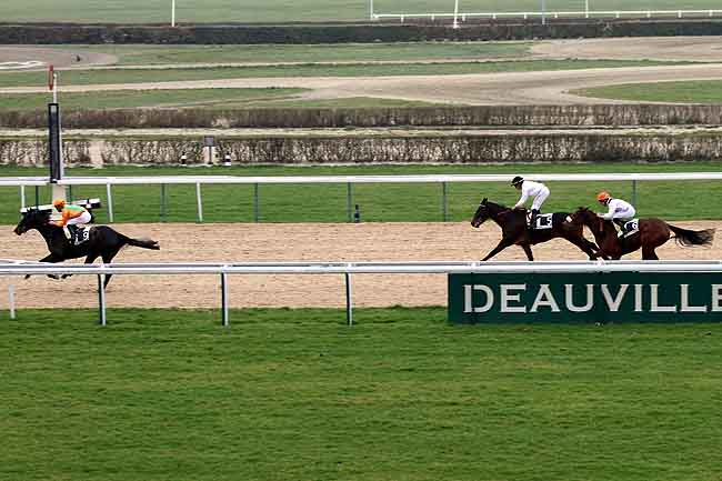 Arrivée quinté pmu PRIX D'ALDERNEY à DEAUVILLE