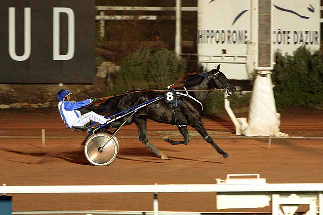 Arrivée quinté pmu PRIX DE KIRUNA à CAGNES-SUR-MER