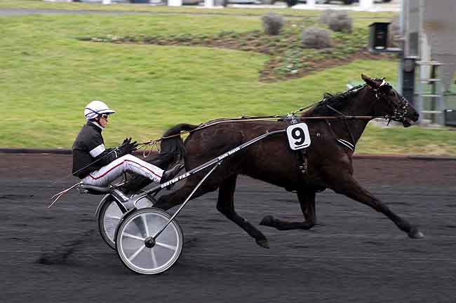 Arrivée quinté pmu PRIX DE MAUREPAS à PARIS-VINCENNES