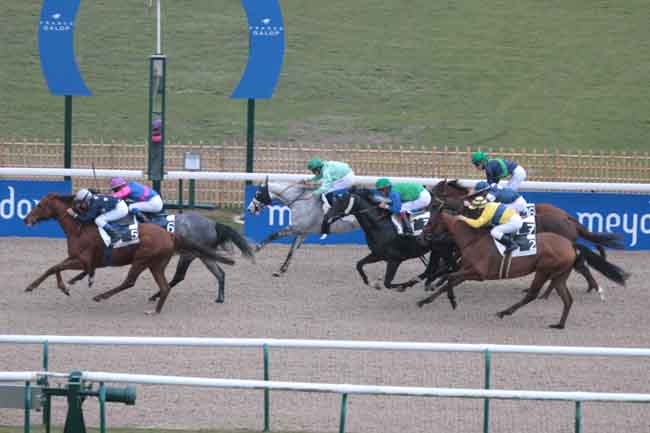 Arrivée quinté pmu PRIX DE BALIVIERE à CHANTILLY
