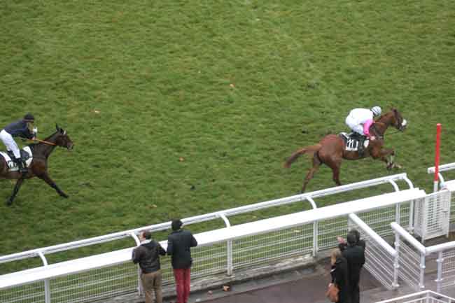 Arrivée quinté pmu PRIX JEAN DOUMEN à AUTEUIL