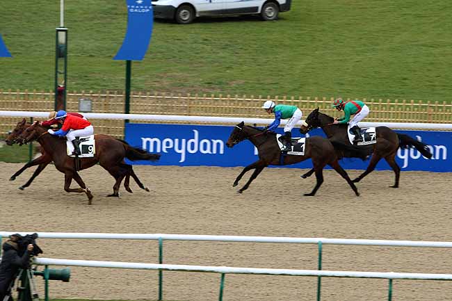 Arrivée quinté pmu PRIX DE LA GRANGE DES BOIS à CHANTILLY