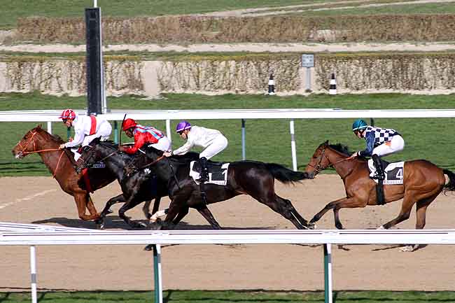 Arrivée quinté pmu PRIX DU PRE AU ROI à DEAUVILLE