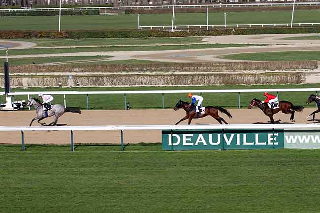 Arrivée quinté pmu PRIX DE CORMEILLES à DEAUVILLE