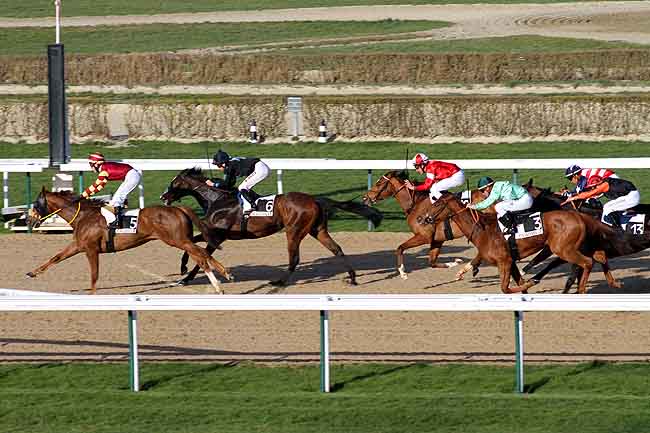 Arrivée quinté pmu PRIX DE L'ESTUAIRE DE LA SEINE à DEAUVILLE
