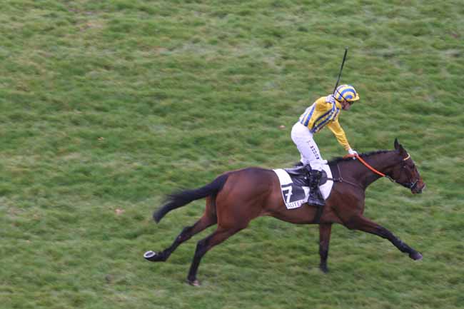 Arrivée quinté pmu PRIX VENTRILOQUE à AUTEUIL