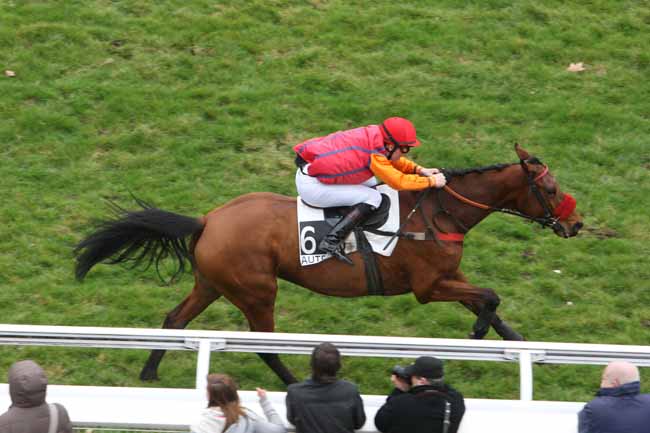 Arrivée quinté pmu PRIX RABASTENS à AUTEUIL
