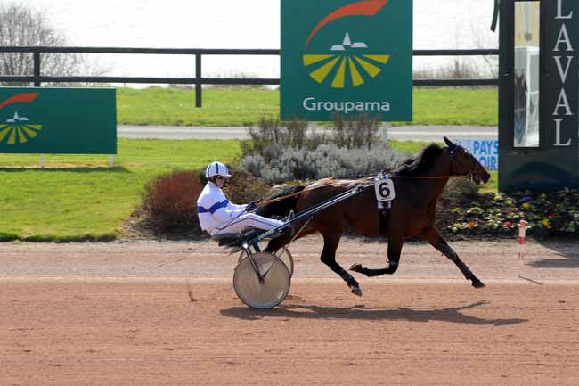 Arrivée quinté pmu PRIX DE LA FEDERATION ANJOU-MAINE CENTRE à LAVAL