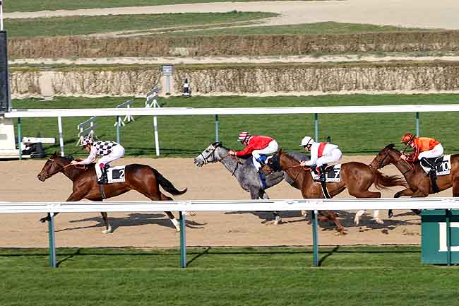 Arrivée quinté pmu PRIX RONDE DE NUIT à DEAUVILLE