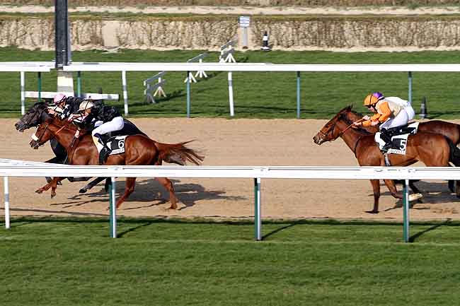 Arrivée quinté pmu PRIX MONTENICA à DEAUVILLE