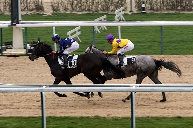 Arrivée quinté pmu PRIX DE LA COUR BLANCHE à DEAUVILLE