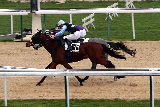 Arrivée quinté pmu PRIX DE LESSARD-LE-CHENE à DEAUVILLE