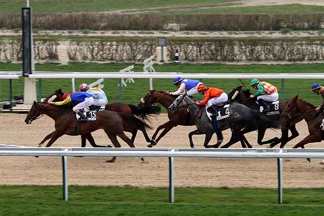 Arrivée quinté pmu PRIX DE LA FORET DU ROUVRAY à DEAUVILLE