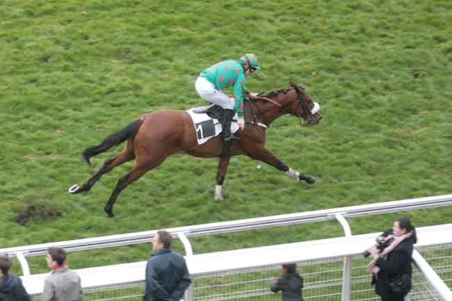 Arrivée quinté pmu PRIX JACQUES D'INDY à AUTEUIL
