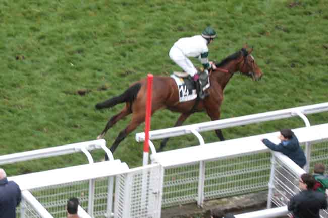 Arrivée quinté pmu PRIX LILIUM à AUTEUIL
