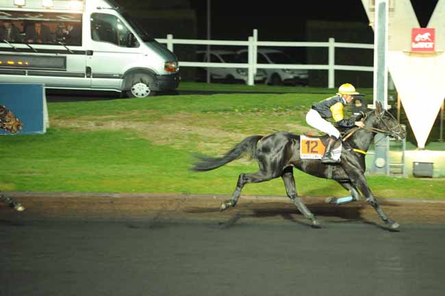 Arrivée quinté pmu PRIX MODESTIA à PARIS-VINCENNES